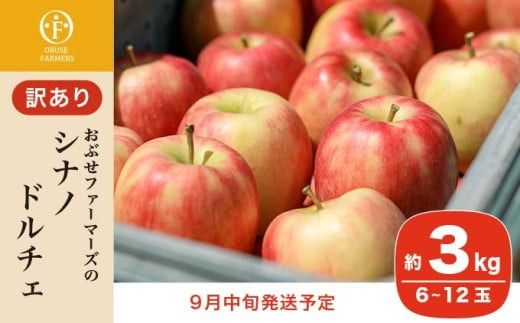 【訳あり】シナノドルチェ 約3kg 6～12玉 ［ おぶせファーマーズ ］ 数量限定 期間限定 果物類 林檎 りんご リンゴ 規格外 不揃い フルーツ 長野県産 信州産 令和7年産 【2025年9月中旬発送】 ［FH-56］