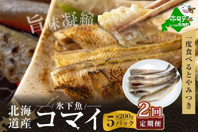 【定期便】北海道 産 干し こまい 1ｋｇ[ 200g × 5パック ]× 2ヵ月 【全 2回 】