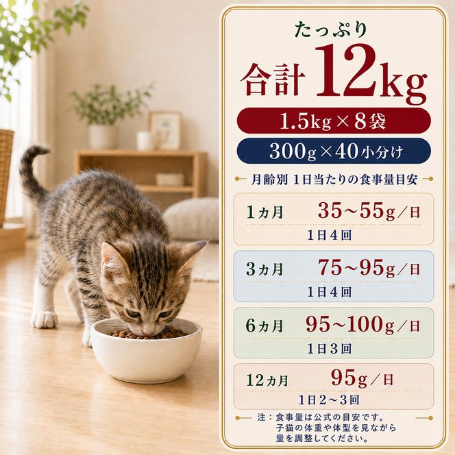 ビューティープロ キャット 子猫用 12ヵ月頃まで 1.5kg ｘ8(ケース単位) キャットフード