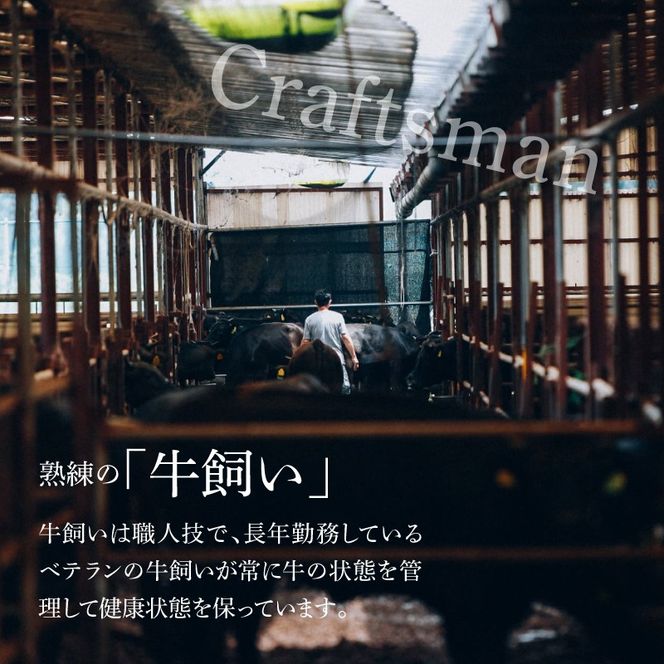 ＜宮崎ＥＭＯ黒毛和牛 すき焼き用上スライス 600ｇ＞ K20_0013_3