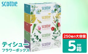 【スコッティ】 ティシュー フラワーボックス 250組 5箱 ティッシュ 日用品 生活必需品 防災備蓄 ストック 備蓄 新生活 防災 消耗品 生活用品 日用消耗品 箱ティッシュ
