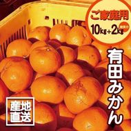 【訳あり】有田みかん 10kg＋2kg 保証分 2S～3Lサイズ混合   EB001
