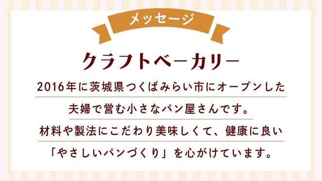 クランベリーとオレンジの食パン（２斤） 食パン パン ドライフルーツ クランベリー オレンジ 食ぱん 赤ワイン 漬け クランベリー オレンジピール [BR13-NT]