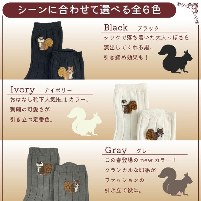おはなし靴下 ギフトボックス リス レディース