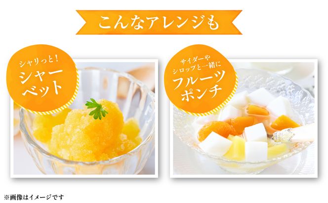 【先行予約】 数量限定 八代市東陽町産の季節のみかん5kg みかん 柑橘 フルーツ 果物 果実 ミカン 蜜柑 熊本県 八代市 【2026年9月下旬より順次発送】