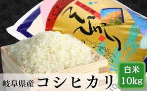 AK-2b 岐阜コシヒカリ約10kg