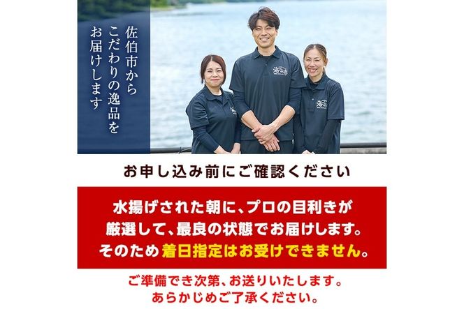 ＜先行予約受付中！2026年6月上旬より順次発送予定＞岩牡蠣 殻付き 大小混合 (約1.8kg) 冷蔵 生食不可 牡蠣 カキ かき 一粒 ひとつぶ 養殖 獲れたて 冷蔵 海の直売所 大分県 佐伯市【AS139】【海べ】