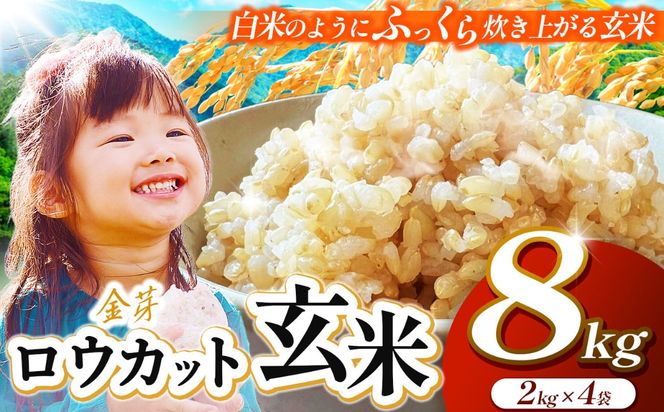 JA上伊那　ロウカット玄米　8kg（2kg×4袋）　白米のようにふっくら炊き上がる玄米【034-09】｜長野県 伊那 伊那市 信州 ロウカット玄米 玄米 ふっくら お米 米 8kg
