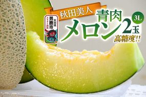 R8年度産 先行受付 メロン3L（1.3キロ前後）×2玉（秋田美人）秋田県 男鹿市|23_bla-020201