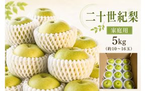 【2026年度先行予約】数量限定　鳥取県産　二十世紀梨　家庭用 5kg(約10〜16玉)【8月20日以降発送】 313726_DE006
