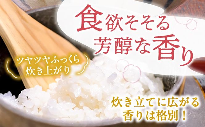 あいちのかおり 白米 5kg / 戸倉トラクター[AECS001]