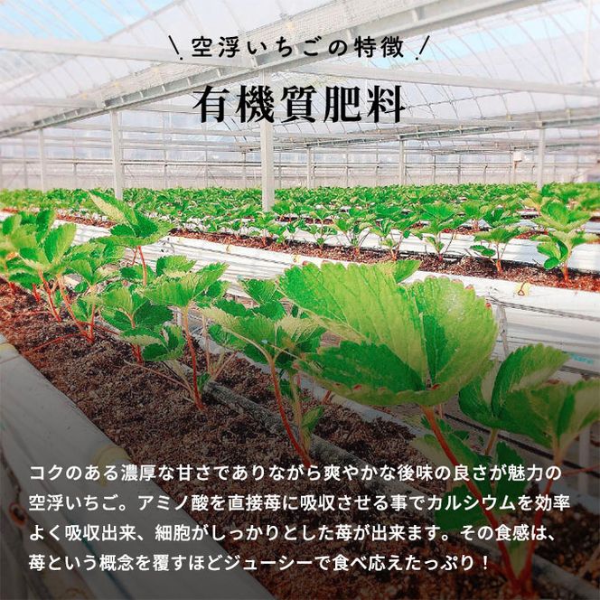 空浮いちご 8パック「北海道・沖縄・離島へのお届け不可」 果物 フルーツ 香川県産 ハウス育ち デザート おやつ 食後 お菓子作り ケーキ作り 