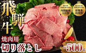 飛騨牛 焼肉 切り落とし 500g | 牛肉 肉 切落し 飛騨牛 訳あり 訳アリ わけあり ワケアリ 不揃い 冷凍 まるたか 食品 バーベキュー BBQ 家用 家庭用 岐阜 瑞穂市