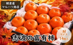柿 志波の富有柿 Mサイズ×14個入 マルハツ商店 果物類 かき 