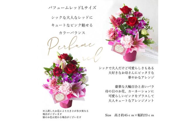 【母の日】パフュームレッドLサイズ＜お届け日：2026年5/8～5/10 当店おまかせ ＞母の日カード付き【 母の日 ギフト アレンジ 花 贈り物 大阪府 門真市 】 272230_BG118