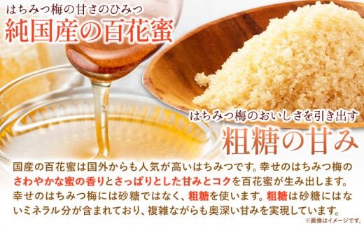 幸せの はちみつ 梅 700g 有限会社 樽の味《30日以内に出荷予定(土日祝除く)》梅干し 無添加 和歌山県 日高町 送料無料 梅干し はちみつ うめぼし 蜂蜜 梅 紀州 南高梅 ごはんのお供 おつまみ に最適！ 漬け物 漬物 おかず---wsh_tra17_30d_24_12000_700g---