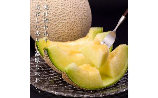 【CF-R7hbk】t063sks　《6ヶ月定期便》高知県産 高級マスクメロン（ご贈答・ギフト用）1玉入 【発送期間：4月～12月（9カ月）】【1月～3月は気候温度不安定の為出荷不可となります。】〈南国市共通返礼品〉