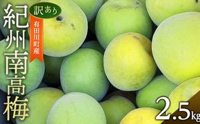青梅 2.5kg 紀州南高梅 シロップ・梅酒・梅干し用など 和歌山県有田産 訳あり 2026年5月下旬～7月上旬発送予定  CE050