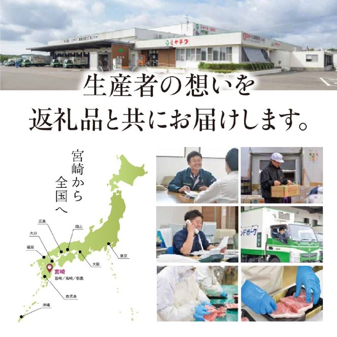 【お試し限定品】宮崎県産黒毛和牛モモステーキ3枚セット 牛肉 肉 ステーキ 黒毛和牛 宮崎 宮崎県 数量限定 