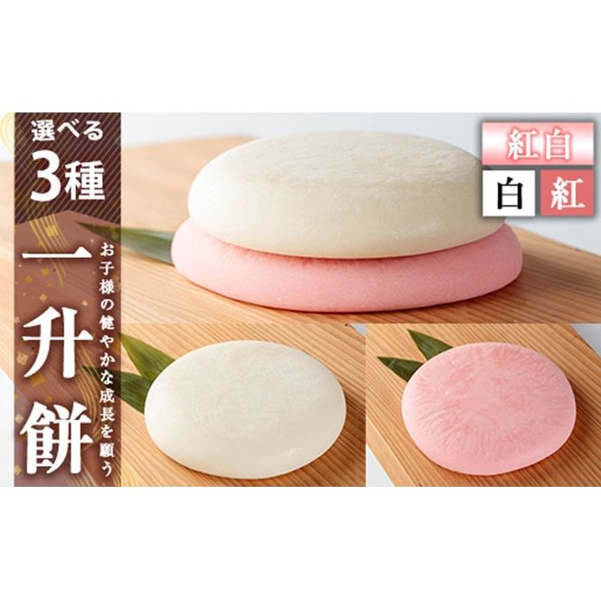 yǎsza952 Iׂ!ꏡ(EgEgZbg)y낷Ɓzǎs   w ݓ݂j 1 j̎q ̎q a xr[ Cxg ^pbN Ⓚ