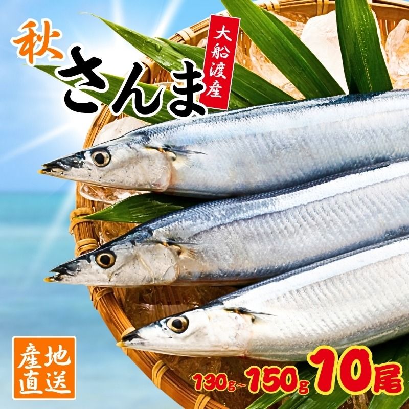 鮮さんま 10本 (1本あたり130〜150g) 岩手大船渡産 サンマ 秋刀魚 海鮮 魚貝類 魚介類 産地直送 新鮮 期間限定 鮮魚 新鮮さんま 魚 焼き魚 三陸さんま 岩手 大船渡市 [maruwa19_1]