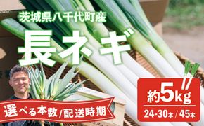 【選べる配送時期・本数( 約24本～30本 / 約45本 )】長ネギ 約5kg 2L 約24本～30本 約45本 茨城県産 八千代町産 野菜 農家直送 化成肥料不使用 有機肥料100% ねぎ 長ねぎ ネギ 旨味 認定農業者 8500円 9000円 [DJ001ya-DJ004ya]