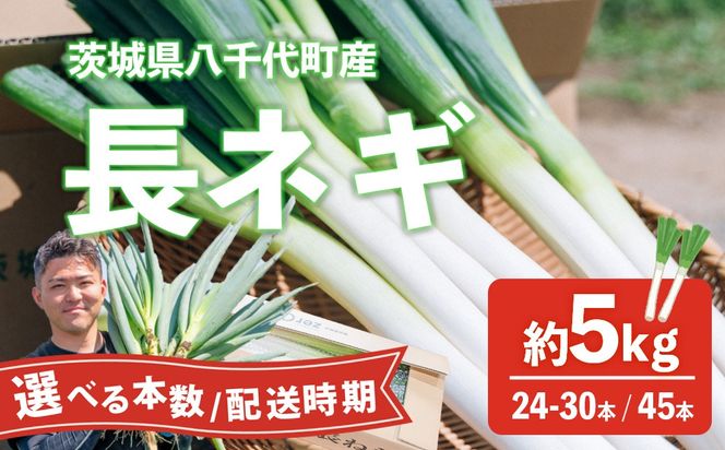 【選べる配送時期・本数( 約24本～30本 / 約45本 )】長ネギ 約5kg 2L 約24本～30本 約45本 茨城県産 八千代町産 野菜 農家直送 化成肥料不使用 有機肥料100% ねぎ 長ねぎ ネギ 旨味 認定農業者 8500円 9000円 [DJ001ya-DJ004ya]