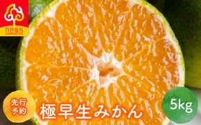 【先行予約】極早生みかん（生果）5kg（2026年9月中旬から発送予定） IKTF001