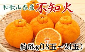 和歌山県産不知火約5kg（18玉～24玉おまかせ） ※2027年2月下旬～2027年3月下旬頃に順次発送予定（日付指定不可）【tec956】