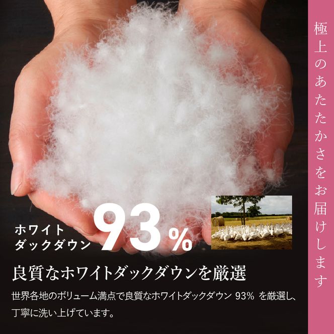 【訳あり】甲州羽毛ふとん　本掛けふとんロイヤルダウン93%（シングル/お任せ柄） 【選べる 暖色 / 寒色】　羽毛布団 シングル 寝具 掛けふとん 本掛け 布団 ホワイトダックダウン うもうふとん 山梨 富士吉田