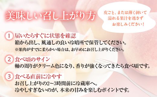白桃 約2kg（6～8玉）和歌山県産 厳選 化粧箱入り ｜ 白鳳・清水白桃・川中島・もも・はくとう【化粧箱入り】 ※北海道・沖縄・離島への配送不可 ※2026年7月上旬～7月下旬頃に順次発送予定