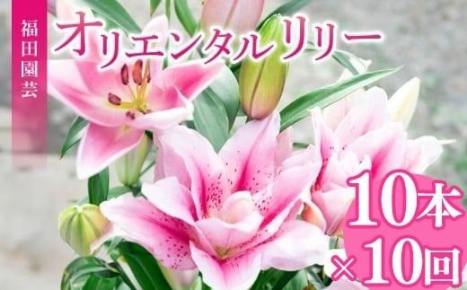 定期便10回 ユリ オリエンタルリリー 10本 花 切り花 プレゼント 贈り物 ギフト 誕生日 記念日 つぼみ 大輪 ピンク 白 香り 優雅 華麗 ブーケ フラワーアレンジメント 観賞用 インテリア 季節の花 高級感 花束 生花 福田園芸 オリエンタルハイブリッド 安芸市 高知県