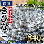 ＜3回定期便＞鹿児島県産！阿久根のきびなごお刺身セット (計840尾・40尾×7パック×3回) 冷凍 魚介類 海鮮 魚 きびなご キビナゴ 刺身 さしみ 刺し身 青魚 子魚 小分け 定期便 阿久根市産 国産 【椎木水産】akn054-18