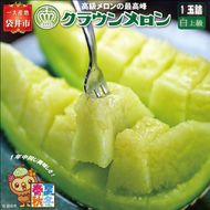 クラウンメロン（白上級）１玉入 