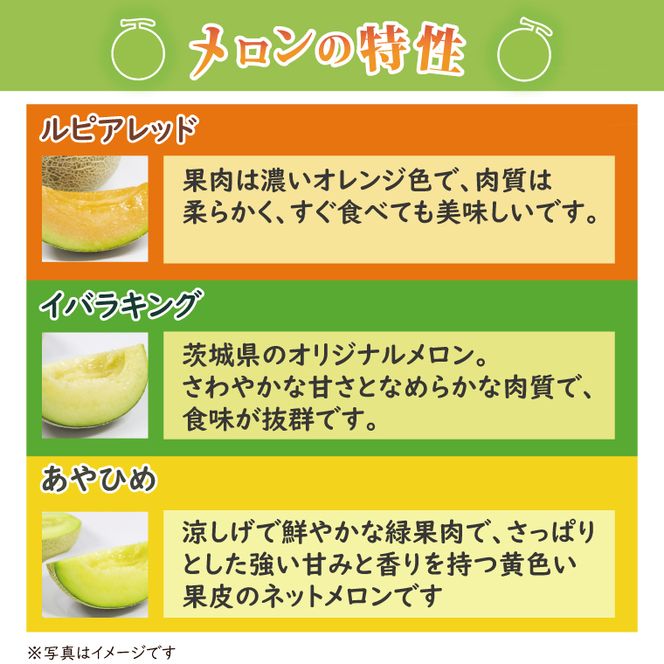 【2026年5月中旬より順次発送】★数量限定★お店で買えない逸品！亀田農園のまごころメロン5kg(4～6玉)｜果物 くだもの メロン ルピアレッド イバラキング あやひめ 数量限定 茨城県 行方市（B-1-1）