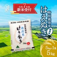 【新米受付 10月発送】R7年産 特別栽培米 はえぬき無洗米 5kg（入金期限：2025.9.15）