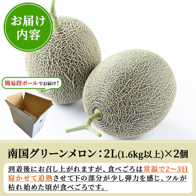 ＜先行予約受付中！2027年6月中旬以降順次発送予定＞数量限定！鹿児島県産 南国グリーンメロン (2Lサイズ×2個) メロン フルーツ デザート 果物 鹿児島 国産 阿久根市産 青肉 ハウス ハウス栽培 期間限定 2L 【東新グリーンファーム合同会社】akn062-08