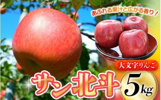 【令和7年度分予約受付】大文字りんご園 サン北斗 サン北斗 約5kg (18～20玉) 【2025年10月下旬頃より順次発送】/ 樹上完熟 りんご リンゴ 林檎 果物 くだもの フルーツ 甘い 旬 産地直送 予約 先行予約【dma513-sh-5A】