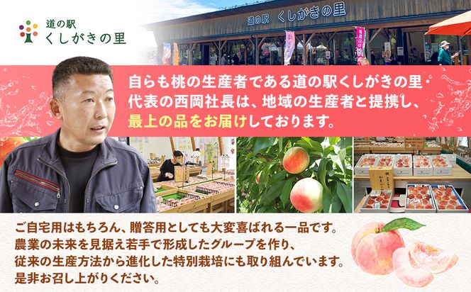 ［2026年発送分］［桃！数量限定先行予約！］川中島白桃 約2kg 6個入 100個に1個の厳選品 こだわり農家厳選！［KG33］ 303446_XM90033