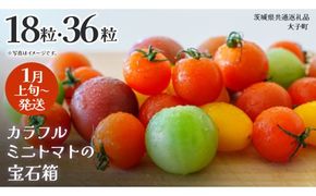 《 選べる 内容量 》カラフル ミニトマト の宝石箱 18粒 / 36粒【2027年1月上旬発送開始】(茨城県共通返礼品：大子町) 野菜 フルーツ 旬 季節限定 期間限定