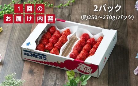 【先行受付】【全2回定期便】糸島産【冬】 あまおう 2パック 毎月計500g【2026年12月上旬以降順次発送】 糸島市 / 南国フルーツ株式会社 [AIK025]