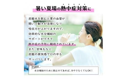 シリカ＆バナジウム強炭酸水PET500ml【1箱(24本入)/2箱(48本入