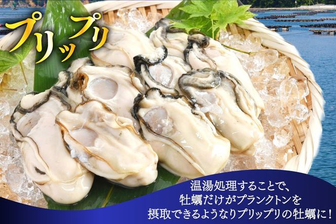 【期間限定発送】 ヤマヨ水産の牡蠣 加熱用 500g 《5月前半〜出荷》 [気仙沼市物産振興協会 宮城県 気仙沼市 20565983] 魚介類 海鮮 牡蠣 春 かき 春牡蠣 春かき 期間限定 冷蔵 加熱