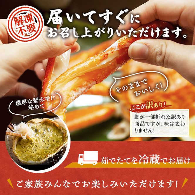 かに 訳あり 期間限定 茹で 越前ガニ 約1kg以上2～3杯 ボイルカニ ボイル 魚介 魚介類
