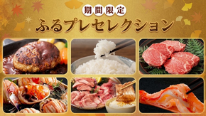 【期間限定】ふるプレセレクション～オリジナル限定返礼品特集