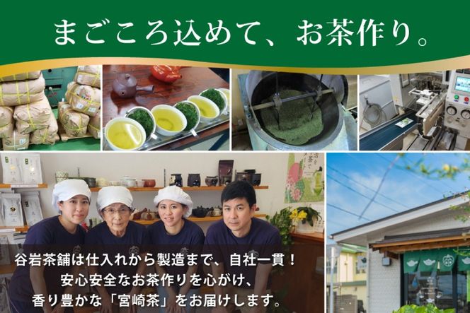 お茶 プレミアム ティーバッグ 露ぶせ 3g 12個 3袋 セット [谷岩茶舗 宮崎県 日向市 452061619] ティーパック 茶 緑茶 日本茶