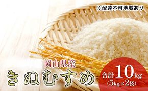 米 特A ランク きぬむすめ 10kg （5kg×2袋） 令和7年産 こめ コメ 白米 岡山県産 