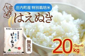 【令和8年産】特別栽培米 はえぬき 無洗米 20kg 5kg×4袋 庄内町産 余目産 余目町農協 あまるめ ブランド米 米 国産 単一原料米 山形 庄内平野