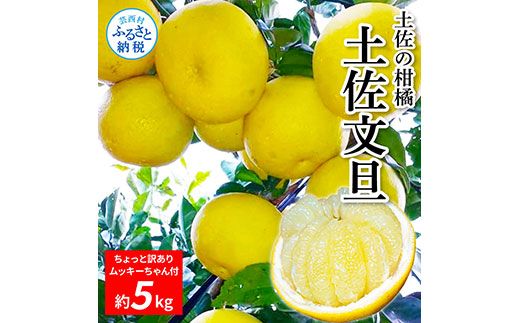 【CF-R7hbk】TKA044　先行予約 土佐の柑橘 土佐文旦 5kg 詰め合わせ ちょっと ムッキーちゃん（皮むき機）付き 文旦 ぶんたん ブンタン 柑橘 高知県 高知 返礼品 故郷納税 13000円 果物 くだもの フルーツ お取り寄せ 美味しい おいしい ご家庭用 ご自宅用 規格外サイズ 傷 訳あり