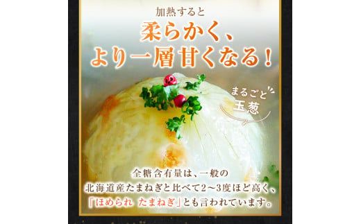  【予約：2026年9月下旬から順次発送】幻の北見黄 北海道北見産 10kg ( 野菜 たまねぎ 玉ねぎ タマネギ Lサイズ 10キロ 詰合せ )【002-0004-2026】